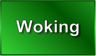 Woking Surrey Logo